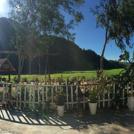 Phong Nha Rice Field Homestay Buitenkant foto