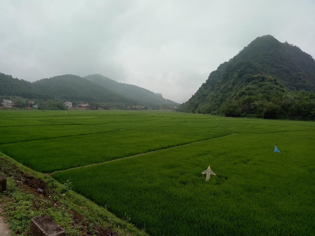 Phong Nha Rice Field Homestay Buitenkant foto