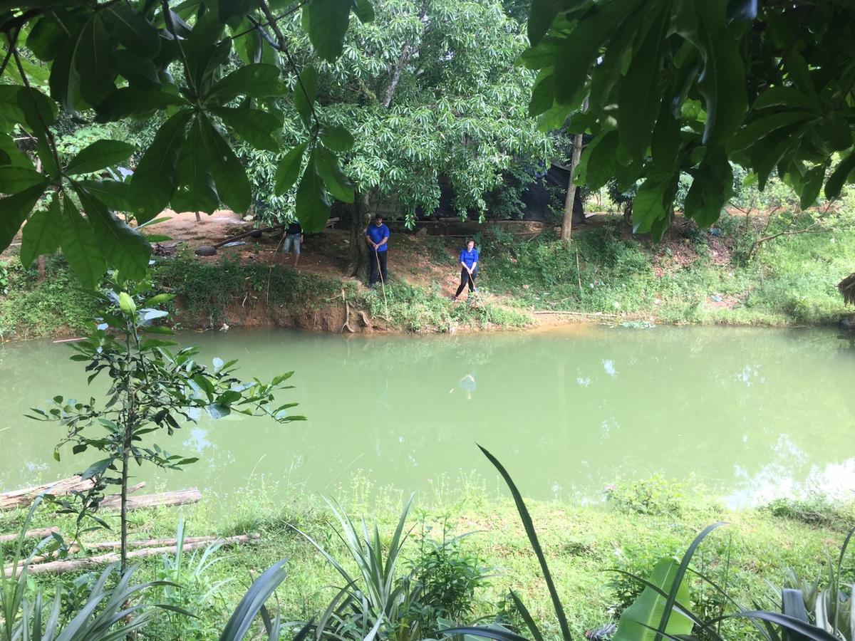 Phong Nha Rice Field Homestay Buitenkant foto