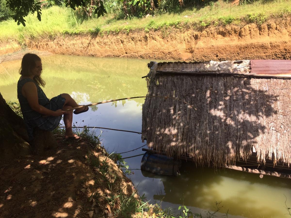 Phong Nha Rice Field Homestay Buitenkant foto