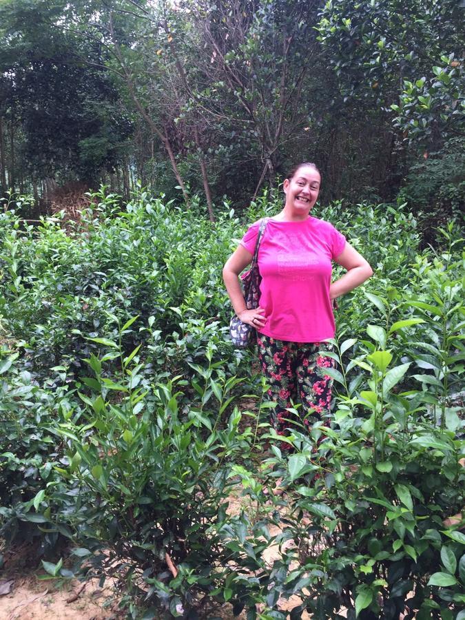 Phong Nha Rice Field Homestay Buitenkant foto